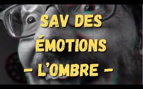 SAV des émotions par Axel Lattuada