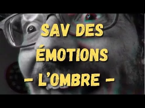 SAV des émotions par Axel Lattuada