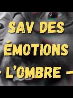 SAV des émotions par Axel Lattuada