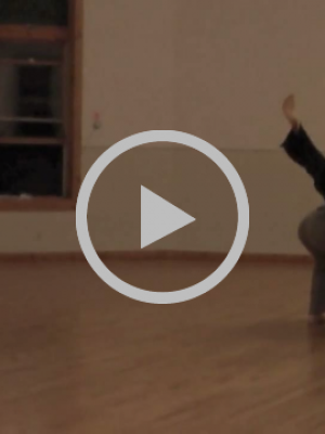 Danse Contact : Joerg Hassmann & Brando