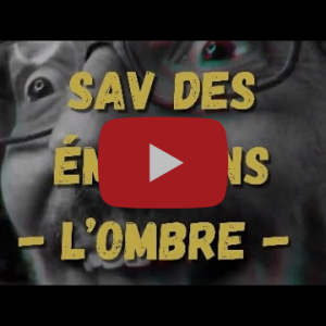 SAV des émotions par Axel Lattuada